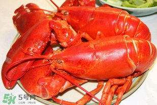 波士顿龙虾怎么挑选,龙虾怎么挑选有肉 波士顿龙虾怎么挑选,龙虾怎么挑选有肉