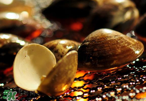 花甲不开口是不是死了能吃吗,花甲不开口是不是死了 花甲不开口是不是死了能吃吗,花甲不开口是不是死了