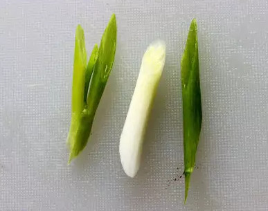 蒜苗如何切,蒜苗如何切丝