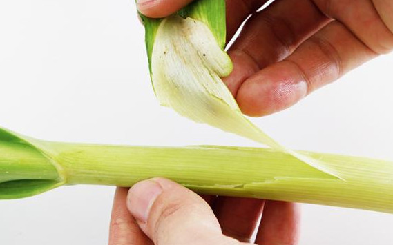 蒜苗怎么处理干净,蒜苗怎么处理 蒜苗怎么处理干净,蒜苗怎么处理