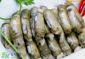 蛏子的简介,蛏子叫什么