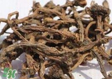 蒲公英根可以抗癌吗,蒲公英根能抗癌吗