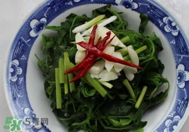 灰灰菜有什么营养价值能经常吃吗,灰灰菜有什么营养价值?