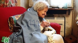 鸡蛋吃会胖吗,鸡蛋怎么吃才好吃又简单