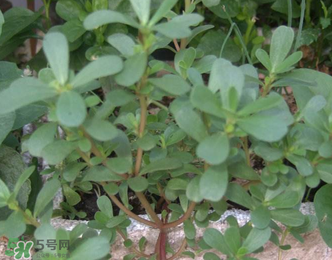 前列腺炎注意事项和禁忌,前列腺炎注意事项有哪些