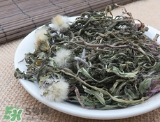 婆婆丁有副作用吗,婆婆丁的副作用