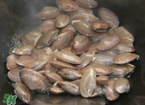 花甲是挑开口的还是不开口的,花甲怎么才会开口