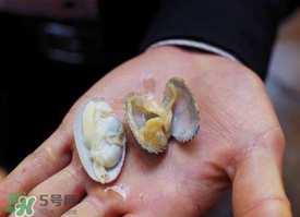 花甲怎么洗最快最干净,花甲怎么洗才没沙子