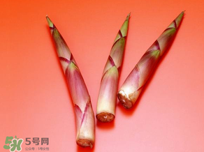 竹笋吃多少合适,竹笋一次吃多少比较好