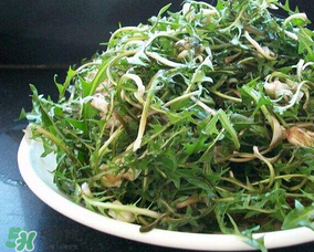 婆婆丁怎么吃可以治疗乳腺结节,婆婆丁怎么吃效果最好