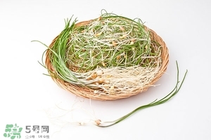 小根蒜的功效和作用及食用方法,小根蒜的功效和作用小根蒜须子能吃吗