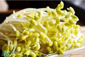 黄豆芽和什么不能一起吃,黄豆芽和什么不能一起吃最好