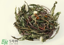 蒲公英怎么采摘原神,蒙德城蒲公英怎么采摘