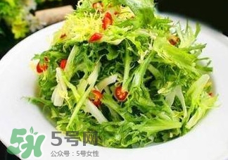 苦菊的药用价值,苦菊的功效和作用及营养价值