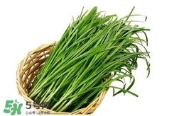 韭菜和苦菊放在一起吃行吗,苦菊菜不能和什么同吃