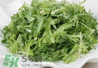 苦菊吃多了好不好,苦菊吃多了好不