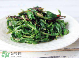 芹菜不能和什么一起吃?,芹菜不能和什么一起吃/同吃 食物相克大全