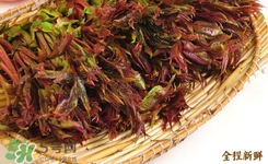 十月份的香椿叶能吃吗,香椿叶能吃吗