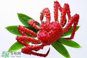 海鲜不能和什么一起吃会中毒,海鲜类食物有哪些