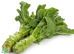 莴笋是苦的能吃吗,莴笋苦是什么原因