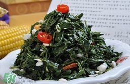 苦菜有什么功效,苦菜有什么功效和作用