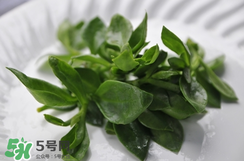 人参菜怎么做好吃,人参菜怎么做才不酸