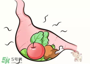 上火吃什么好得最快,上火吃什么好解火