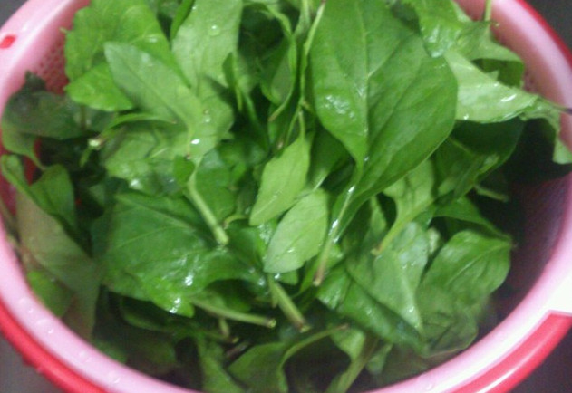 枸杞叶怎么吃最好,枸杞怎样吃最好 枸杞叶怎么吃最好,枸杞怎样吃最好