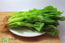 波菜不能和一起吃,菠菜什么不能一起吃