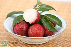 荔枝的主要产地在哪里,荔枝的主要产地和成熟季节