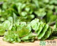 榆钱的做法,榆钱的做法有几种做法 榆钱的做法,榆钱的做法有几种做法