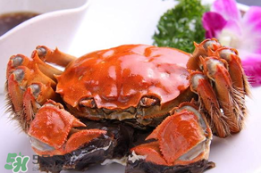 大闸蟹的做法 清蒸,大闸蟹的做法大全