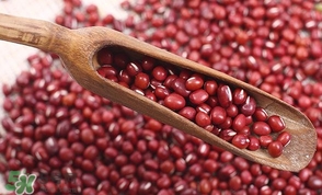 赤小豆是红豆吗,赤小豆和红豆一样吗