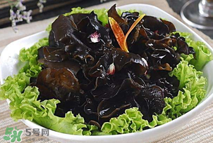 木耳不能和什么一起吃?,木耳不能和什么一起吃 食物相克表 木耳不能和什么一起吃?,木耳不能和什么一起吃 食物相克表