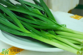 蒜苗叶子发黄怎么治,蒜苗发黄怎么办 蒜苗叶子发黄怎么治,蒜苗发黄怎么办