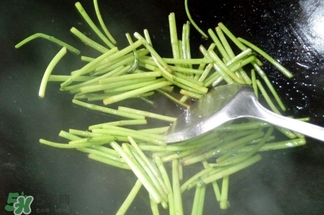 藜蒿叶子可以吃吗,藜蒿叶子为什么不能吃