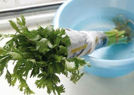 水芹菜怎么保鲜好,水芹菜怎么保鲜