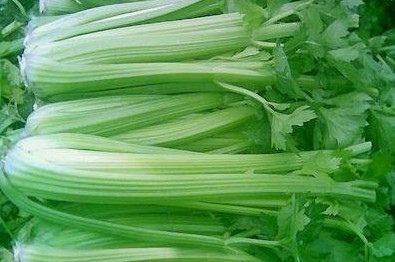 水芹菜和芹菜的区别图片,水芹菜图片 水芹菜和芹菜的区别图片,水芹菜图片