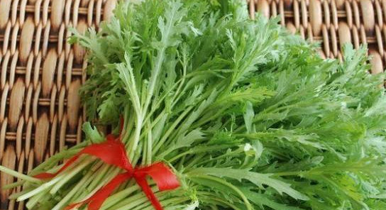 苦苦菜的功效和作用图片,用苦瓜干泡水喝的功效有哪些?