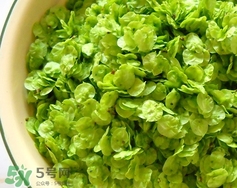 蒸榆钱的做法窍门,榆钱饭是什么东西 蒸榆钱的做法窍门,榆钱饭是什么东西