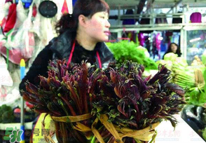 我家的香椿怎么变成臭椿了,香椿和臭椿