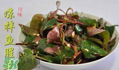 吃鱼腥草能喝酒吗,喝完酒可以喝鱼腥草吗