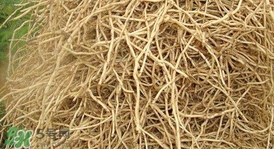 鱼腥草根怎么吃,鱼腥草根怎么吃最好