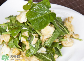 香椿怎么吃最好,香椿怎么吃最好?香椿的做法有哪些?