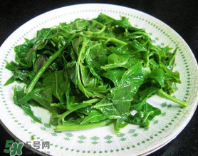 香椿怎么吃健康?,香椿如何吃