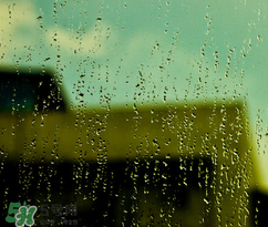 老是下雨怎么办?,下雨了怎么办?