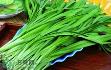 韭菜的功效和作用做法图片,韭菜的功效和作用怎么吃壮阳
