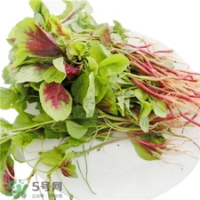 苋菜根的功效和作用及食用方法,红刺苋菜根的功效和作用