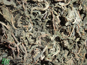 香椿怎么晒干保存,香椿怎么晒干保存到冬天