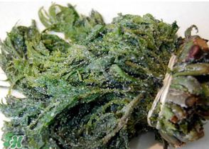 香椿怎么腌制好吃,香菜怎么腌制